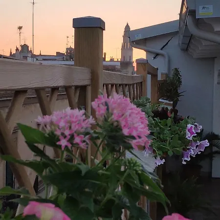 Holiday home Attico Brunetti